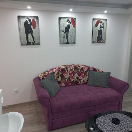 Adrijana 2 Apartmani Vrnjačka Banja المظهر الخارجي الصورة